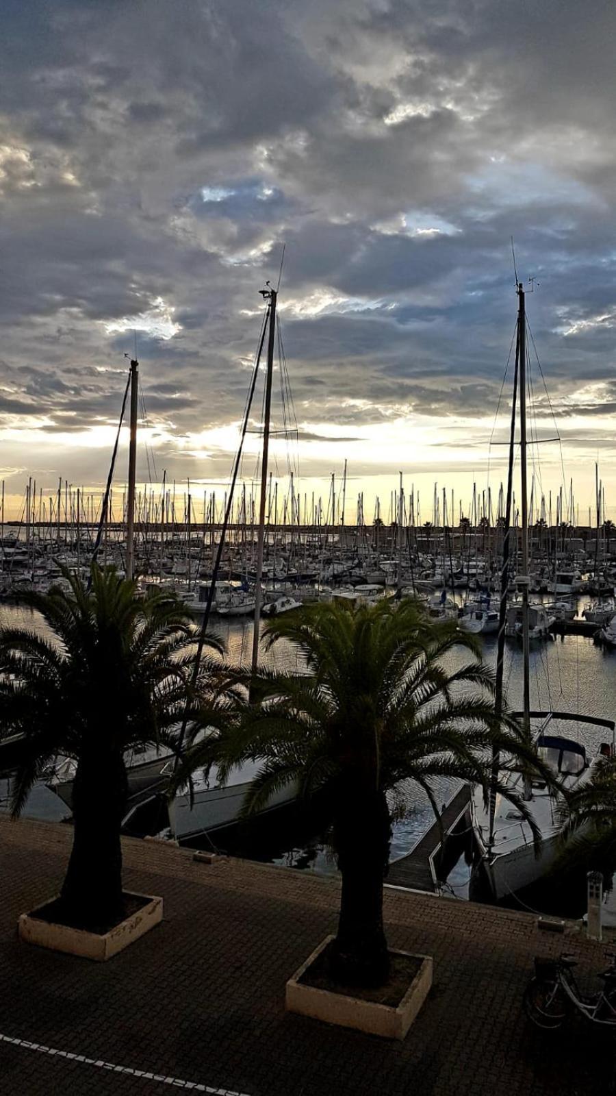 T2 Sur Le Port Avec Parking Leilighet Gruissan Eksteriør bilde